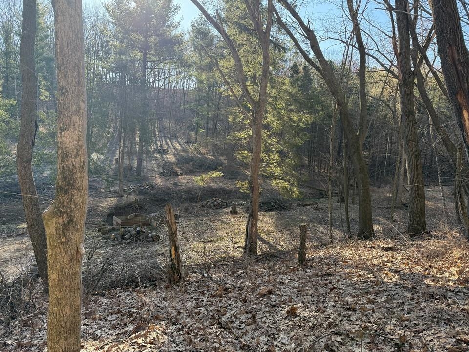 E3497 Croal Hollow Road Hillpoint, WI 53937 - Photo 56 of 67