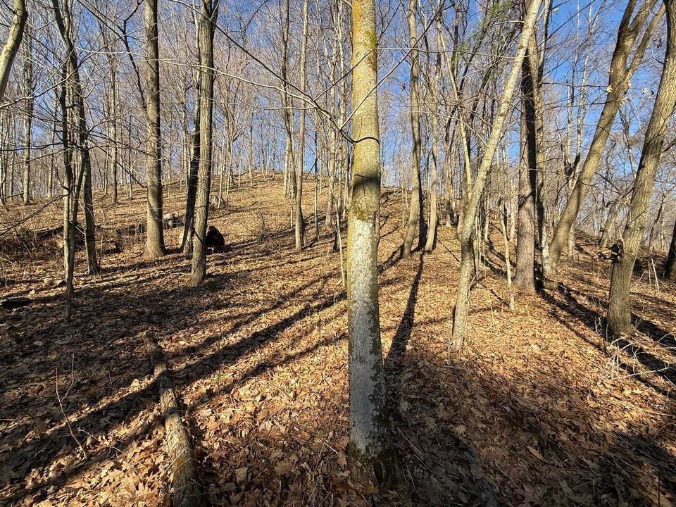 E3497 Croal Hollow Road Hillpoint, WI 53937 - Photo 57 of 67