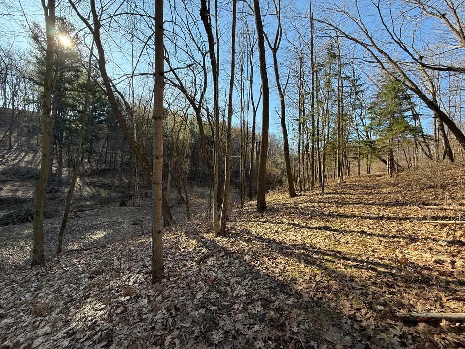 E3497 Croal Hollow Road Hillpoint, WI 53937 - Photo 58 of 67