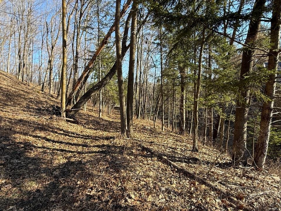 E3497 Croal Hollow Road Hillpoint, WI 53937 - Photo 62 of 67