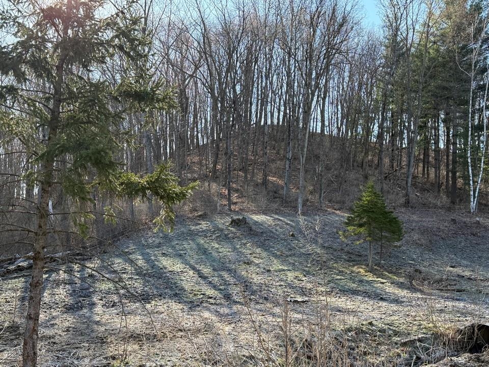 E3497 Croal Hollow Road Hillpoint, WI 53937 - Photo 64 of 67