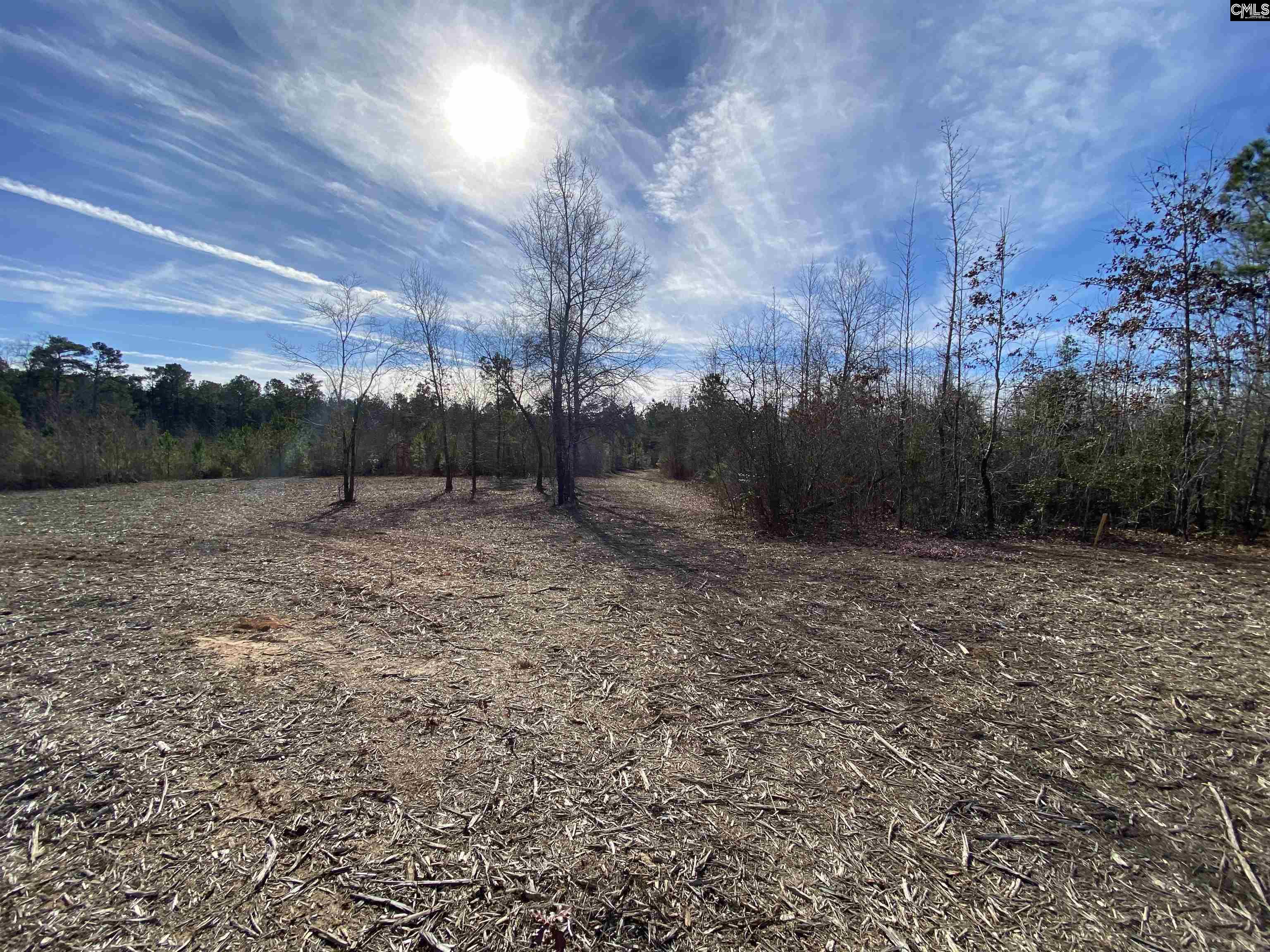 900 Pineywood Road Saluda, SC 29138 - Photo 8 of 23