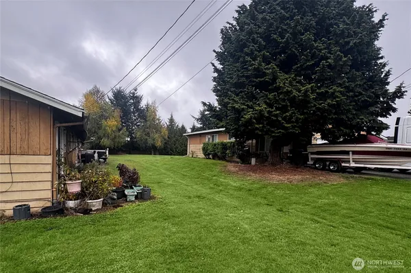 a view of a backyard with sitting area and tree