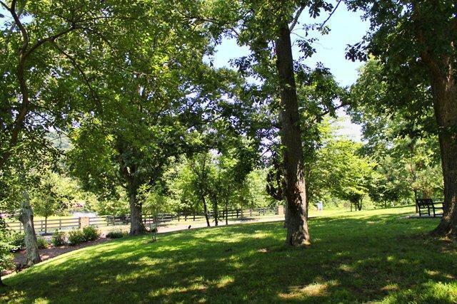 1042 Oglethorpe Drive Franklin, TN 37064 - Photo 19 of 30 a view of a trees with a yard