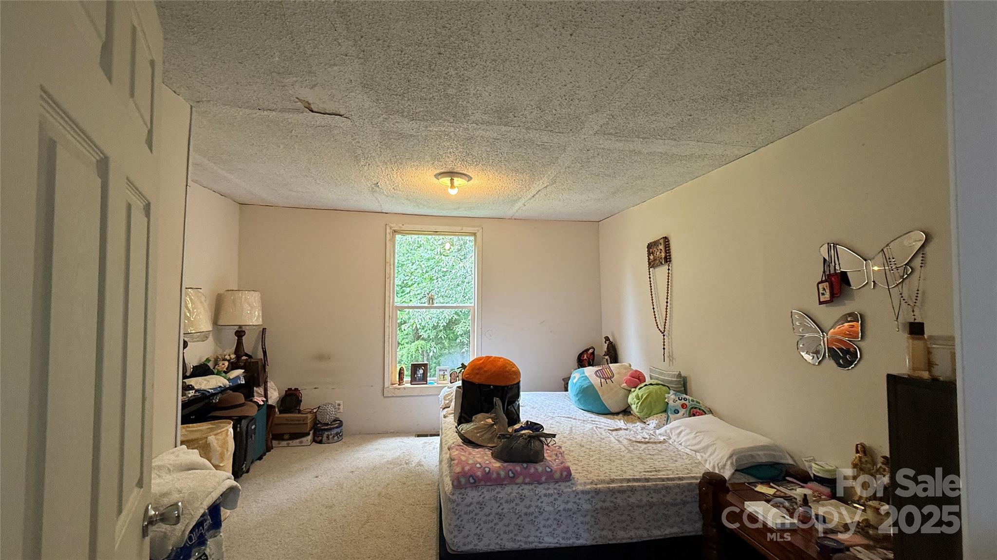 424 Winnies Road Bostic, NC 28018 - Photo 16 of 21