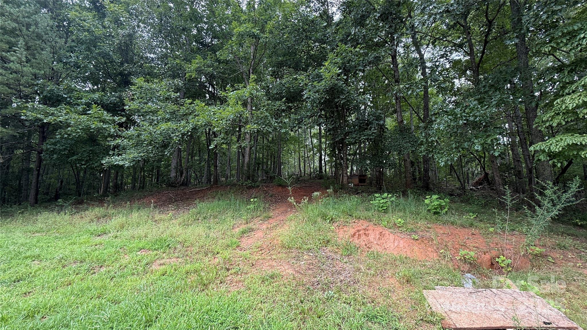 424 Winnies Road Bostic, NC 28018 - Photo 8 of 21