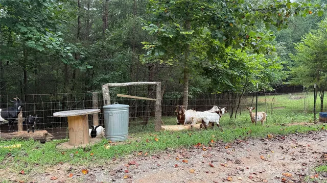 $145,000 | 424 Winnies Road, Bostic, NC 28018