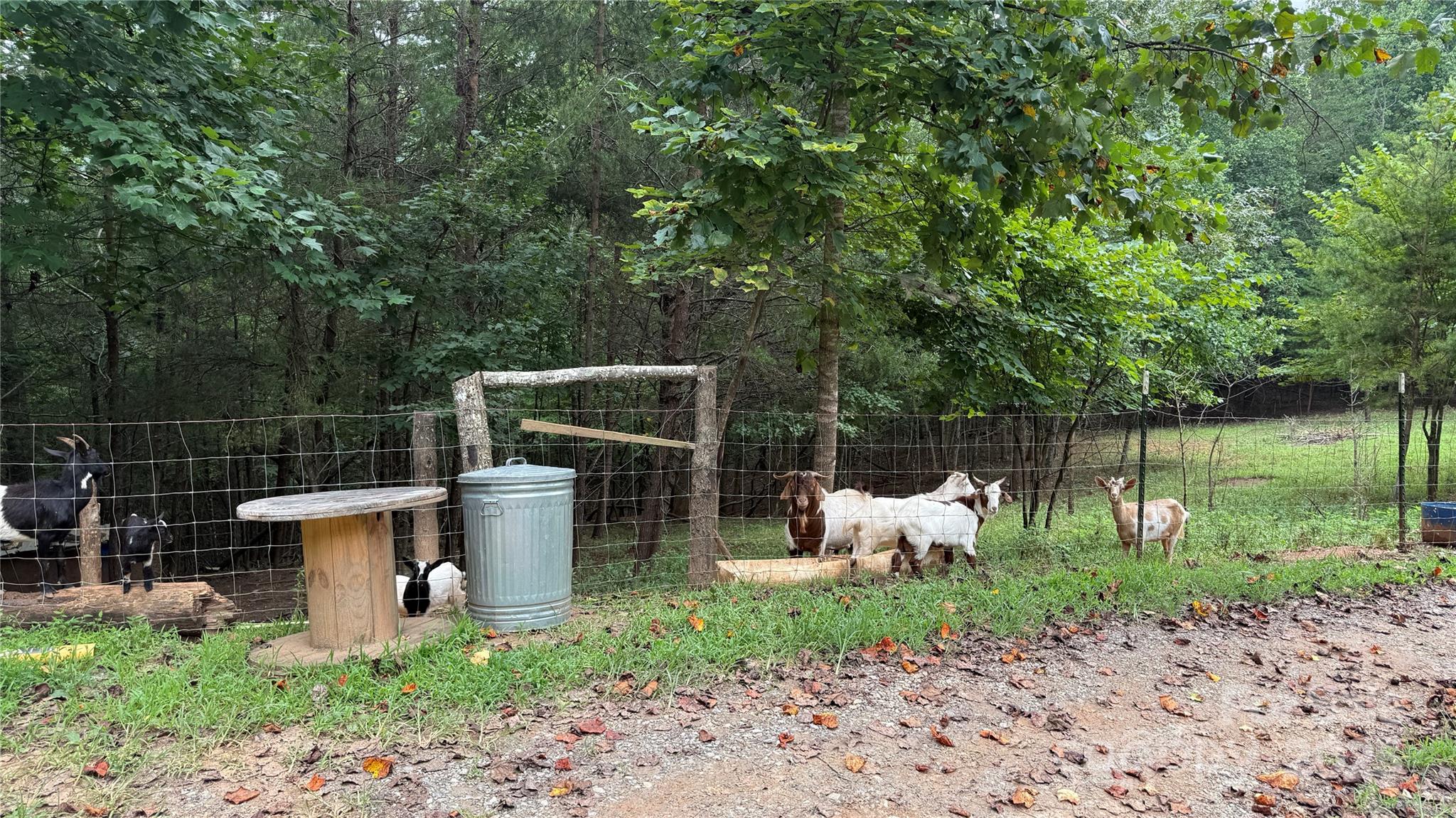 424 Winnies Road Bostic, NC 28018 - Photo 9 of 21