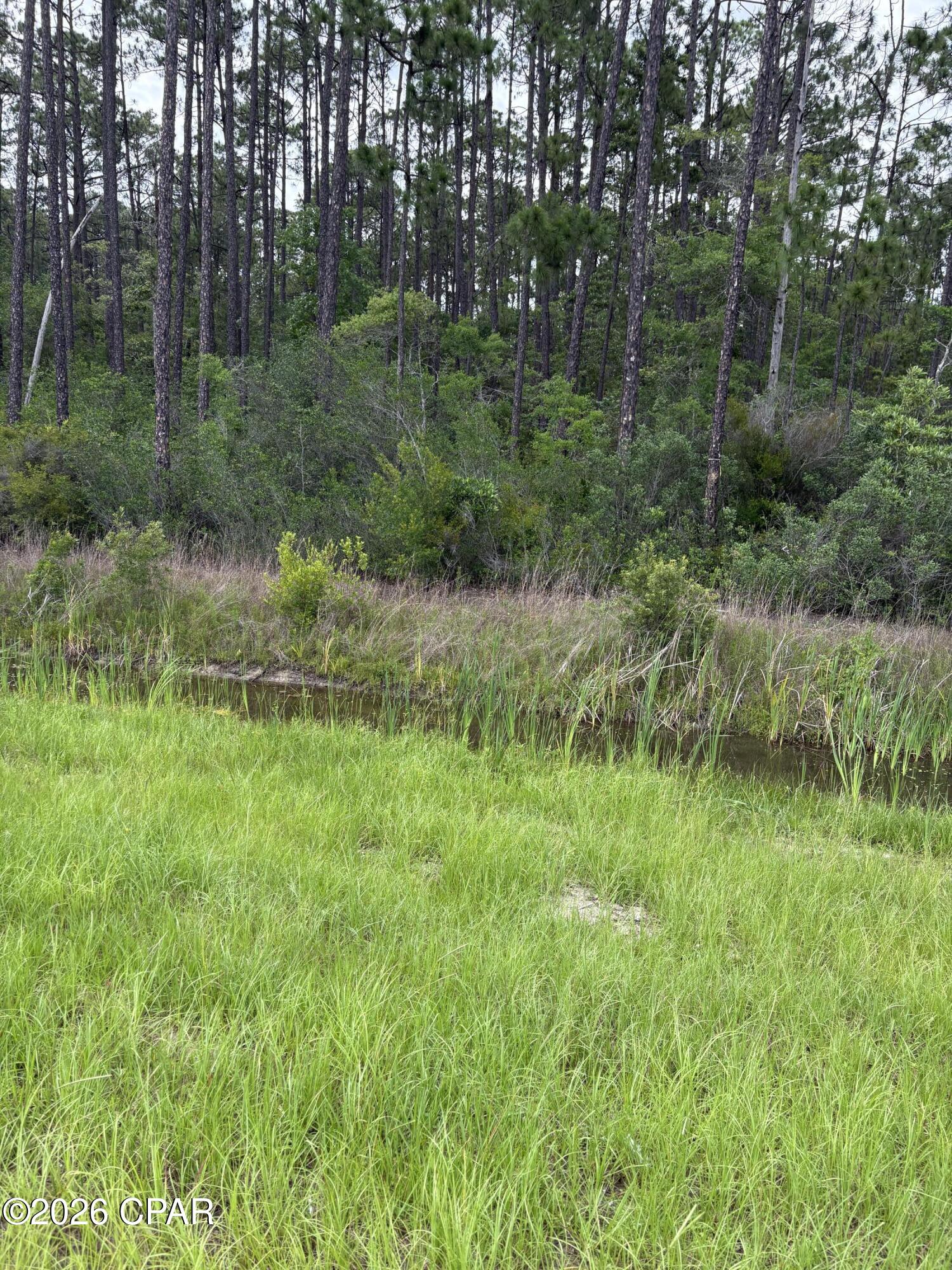 331 South Freeport Freeport, FL 32439 - Photo 8 of 9