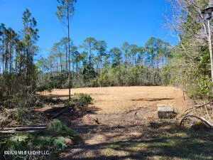 $35,000 | 0 Cherrywood Place, Gautier, MS 39553