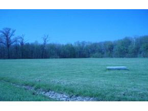 4501 North County Line Road East Spencer, IN 47460 - Photo 2 of 5