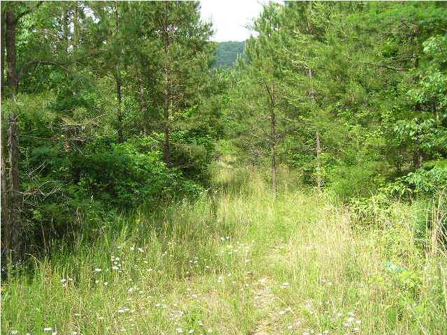 1000 Lusk Loop Dunlap, TN 37327 - Photo 21 of 27 Additional Photo