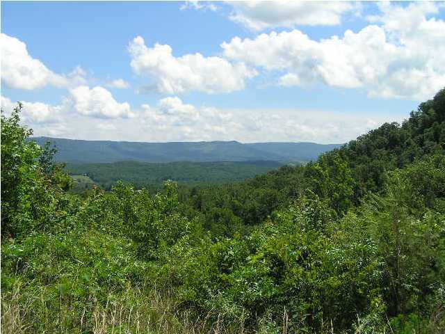 1000 Lusk Loop Dunlap, TN 37327 - Photo 9 of 27 Additional Photo