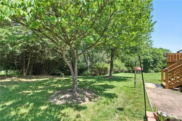 a view of a park with large trees