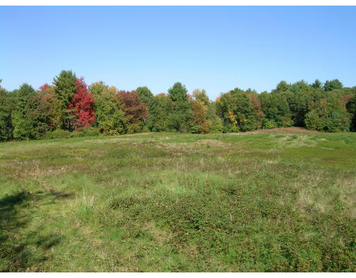 145 Tower Road Lincoln, MA 01773 - Photo 1 of 1 Gallery Image 1