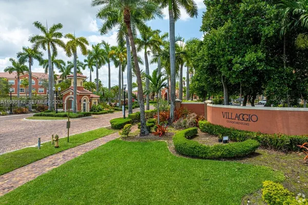 a view of a park with palm trees