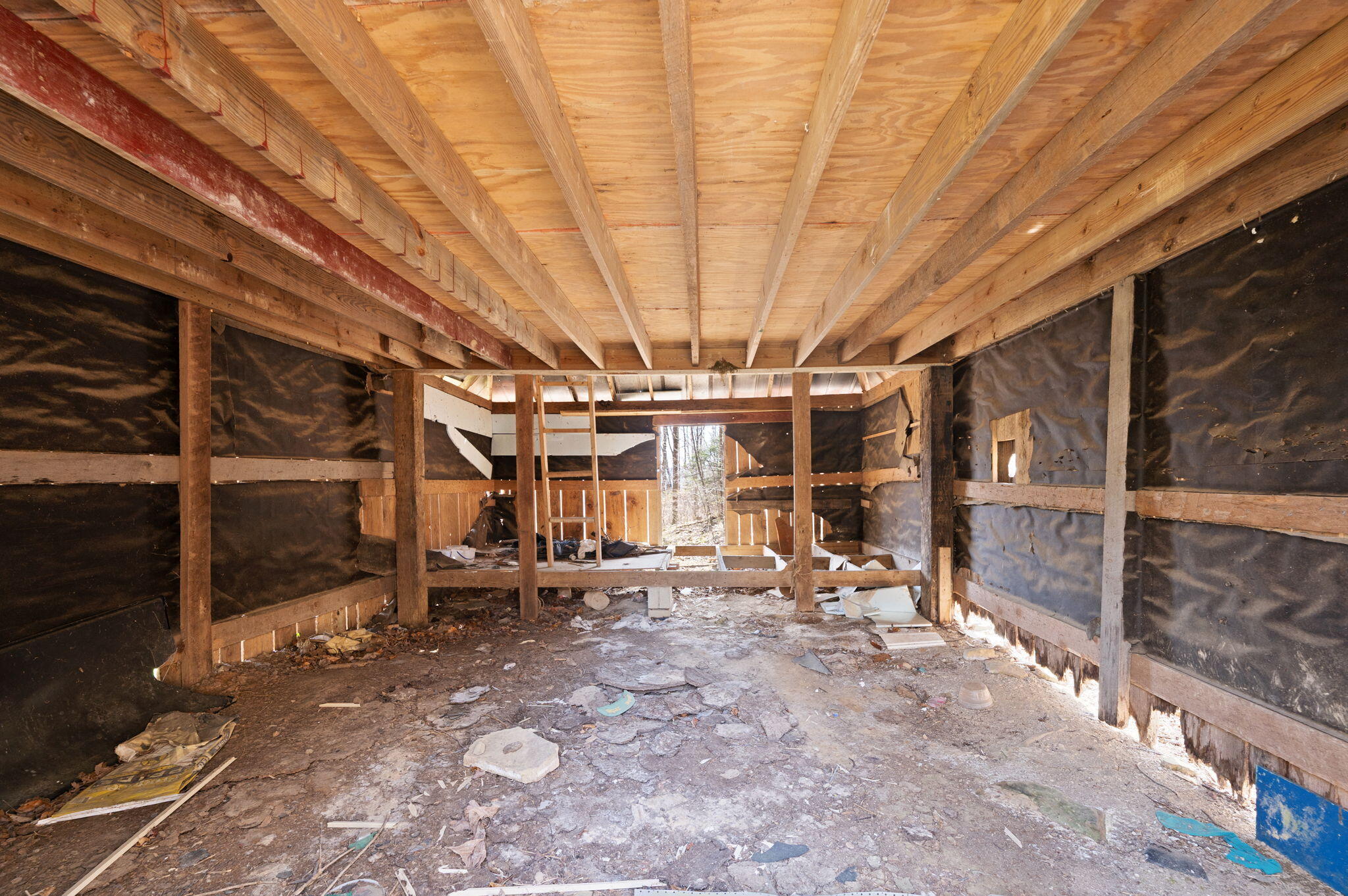 1197 Beans Fork Road Middlesboro, KY 40965 - Photo 12 of 28