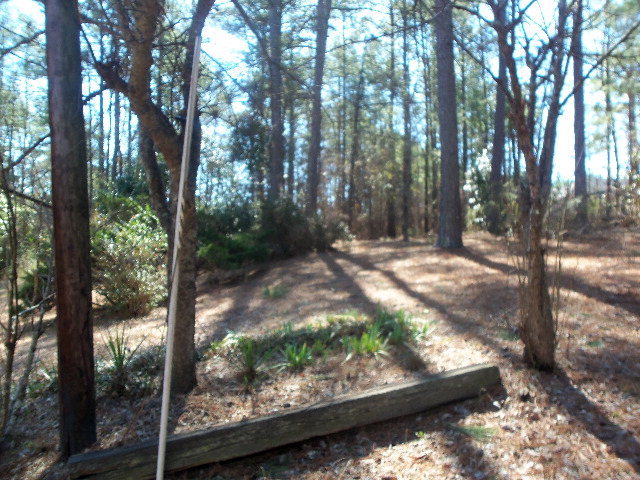 3309 Upper River Road Macon, GA 31211 - Photo 22 of 22 a view of yard with green space