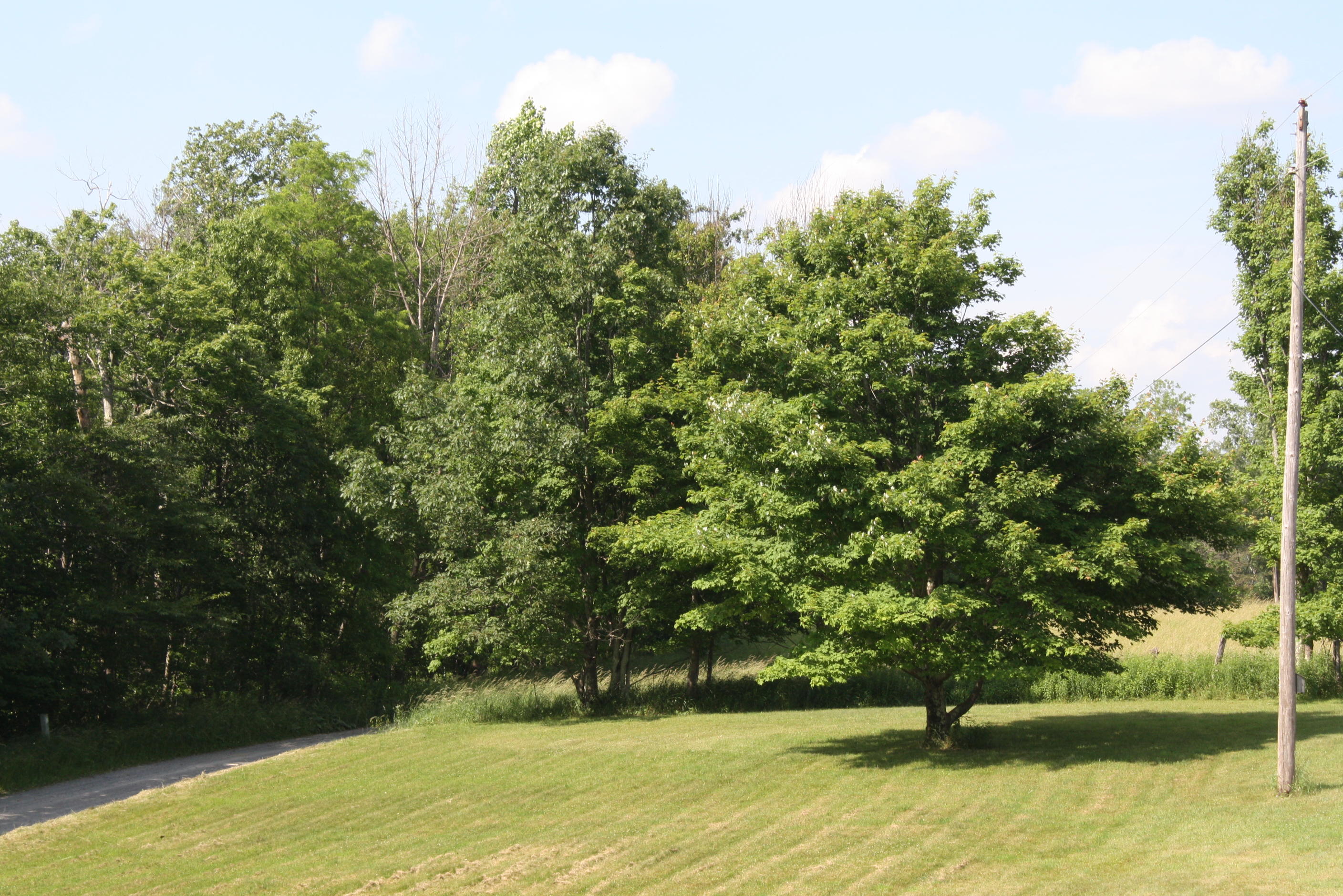 3296 Simms Mountain Road Rainelle, WV 25962 - Photo 94 of 119 Gallery Image 94