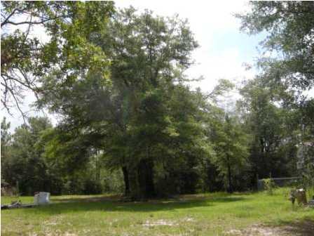 4858 Hinote Road DeFuniak Springs, FL 32433 - Photo 25 of 27 a view of a yard with a trees