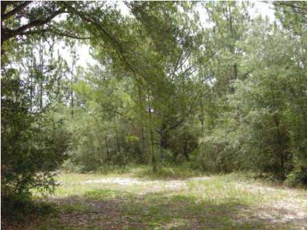 4858 Hinote Road DeFuniak Springs, FL 32433 - Photo 26 of 27 a view of a yard