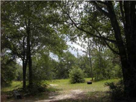 4858 Hinote Road DeFuniak Springs, FL 32433 - Photo 3 of 27 a view of a yard with a tree