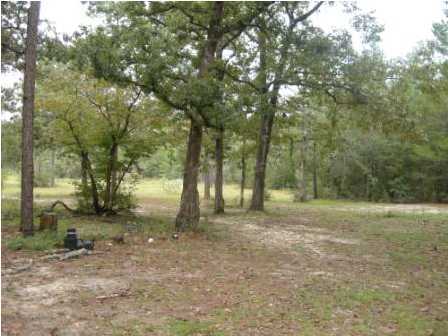 4858 Hinote Road DeFuniak Springs, FL 32433 - Photo 4 of 27 a view of outdoor space with trees