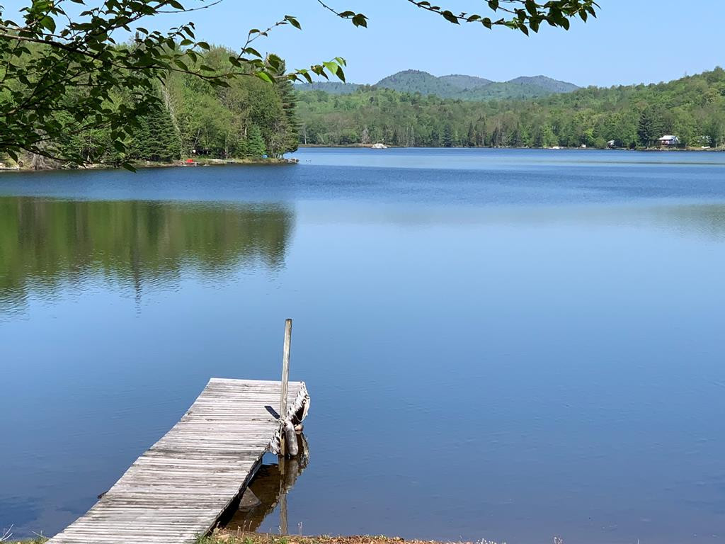 1188 Goodnow Flow Road Newcomb, NY 12852 - Photo 38 of 39 Gallery Image 38