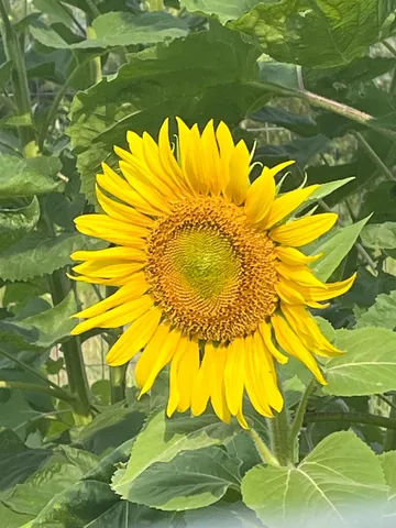 $350,000 | W5598 County Road K, Amberg, WI 54102