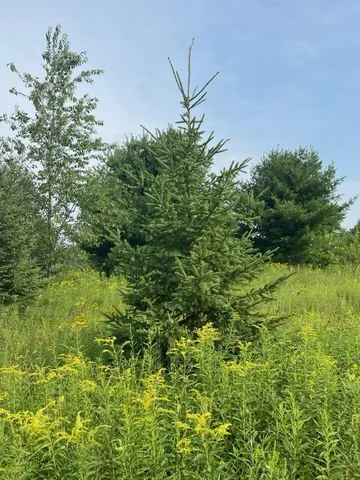 $350,000 | W5598 County Road K, Amberg, WI 54102