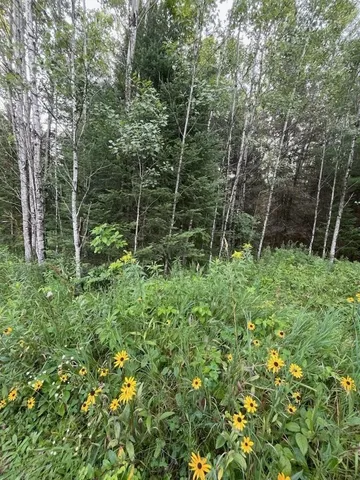 $350,000 | W5598 County Road K, Amberg, WI 54102