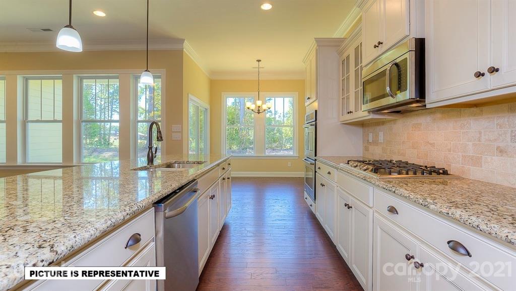 4481 Streamside Road Denver, NC 28037 - Photo 12 of 20 Gallery Image 12