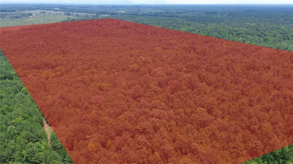 0 County Road Opelika, AL 36804 - Photo 1 of 5 Expansive acreage featuring dense tree coverage