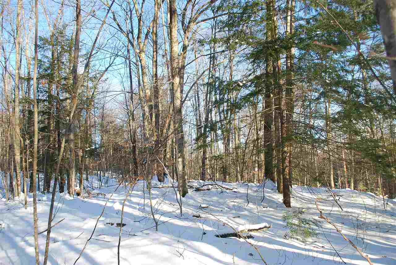 0 Stone Road, Unit 70 Gilmanton Iron Works, NH 03837 - Photo 2 of 26