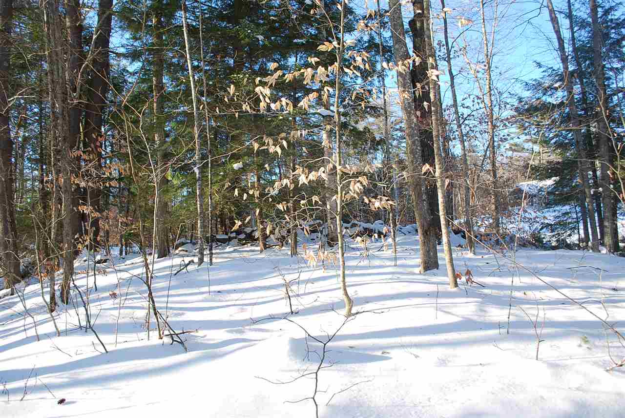0 Stone Road, Unit 70 Gilmanton Iron Works, NH 03837 - Photo 24 of 26
