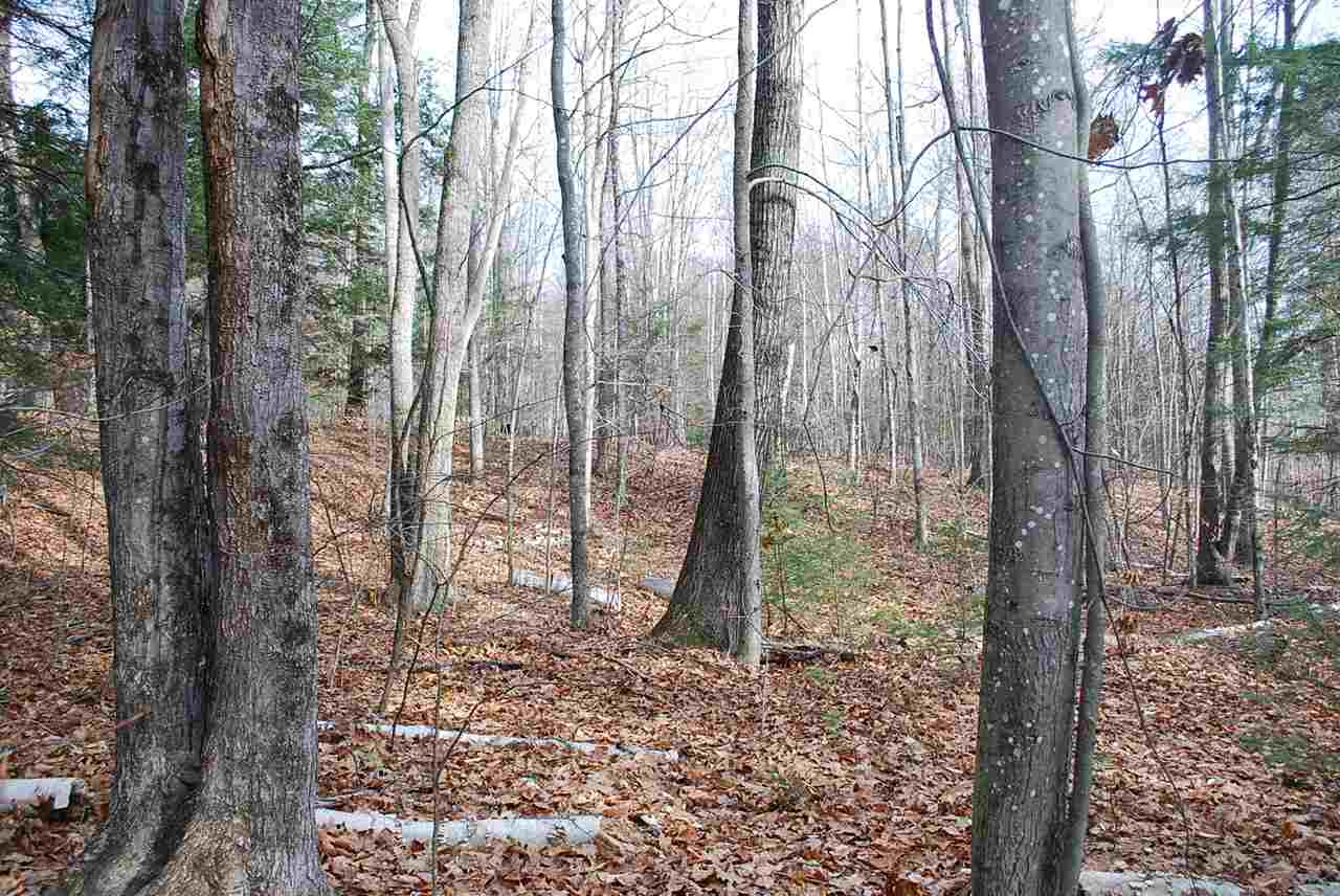 0 Stone Road, Unit 70 Gilmanton Iron Works, NH 03837 - Photo 9 of 26