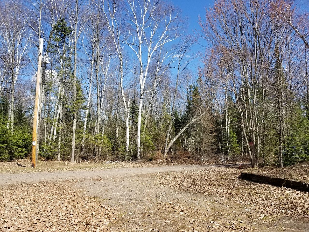 2780 Bisenius Road Park Falls, WI 54552 - Photo 32 of 33 Gallery Image 32