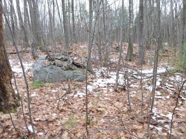312 Fisk Road Hardwick, MA 01082 - Photo 4 of 5 Gallery Image 4