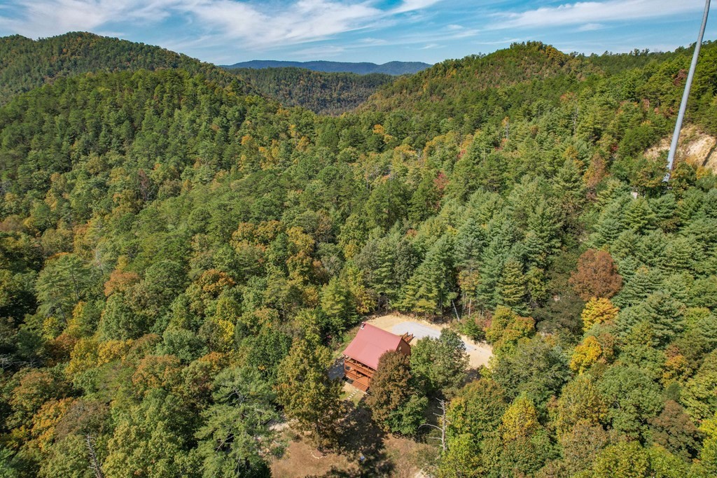 116 Mountain Retreat Road Townsend, TN 37882 - Photo 59 of 69 Gallery Image 59