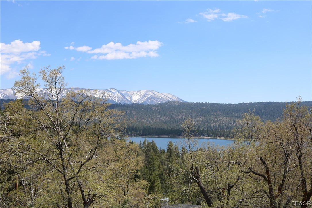 1297 Ridge Road Fawnskin, CA 92333 - Photo 4 of 36 Gallery Image 4