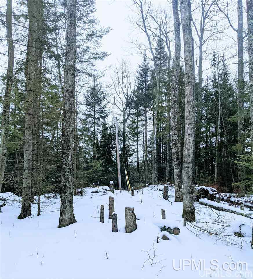 Tbd Red Road Michigamme, MI 49861 - Photo 9 of 10 Gallery Image 9
