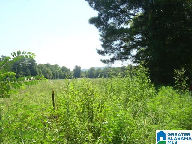 0 Dabbs Road, Unit 19 & 20 Oxford, AL 36203 - Photo 23 of 33