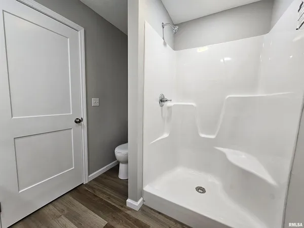 a bathroom with a shower and toilet
