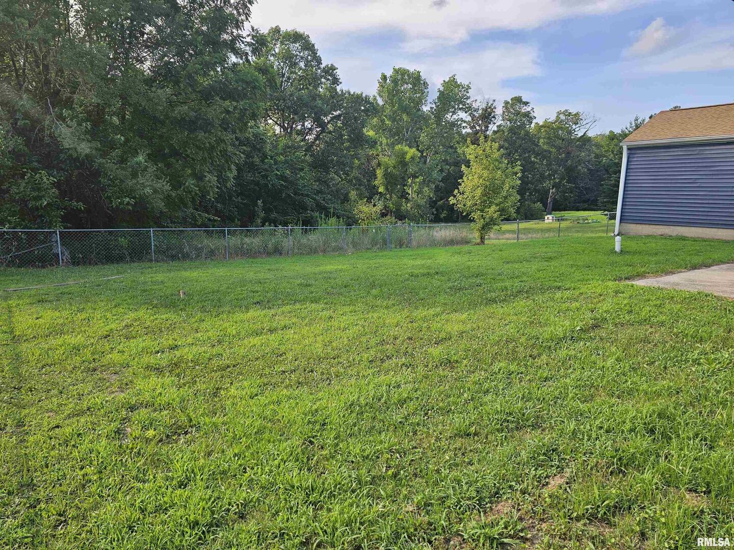 16530 East Fairfield Road Mount Vernon, IL 62864 - Photo 4 of 28 a view of a backyard with a trampoline