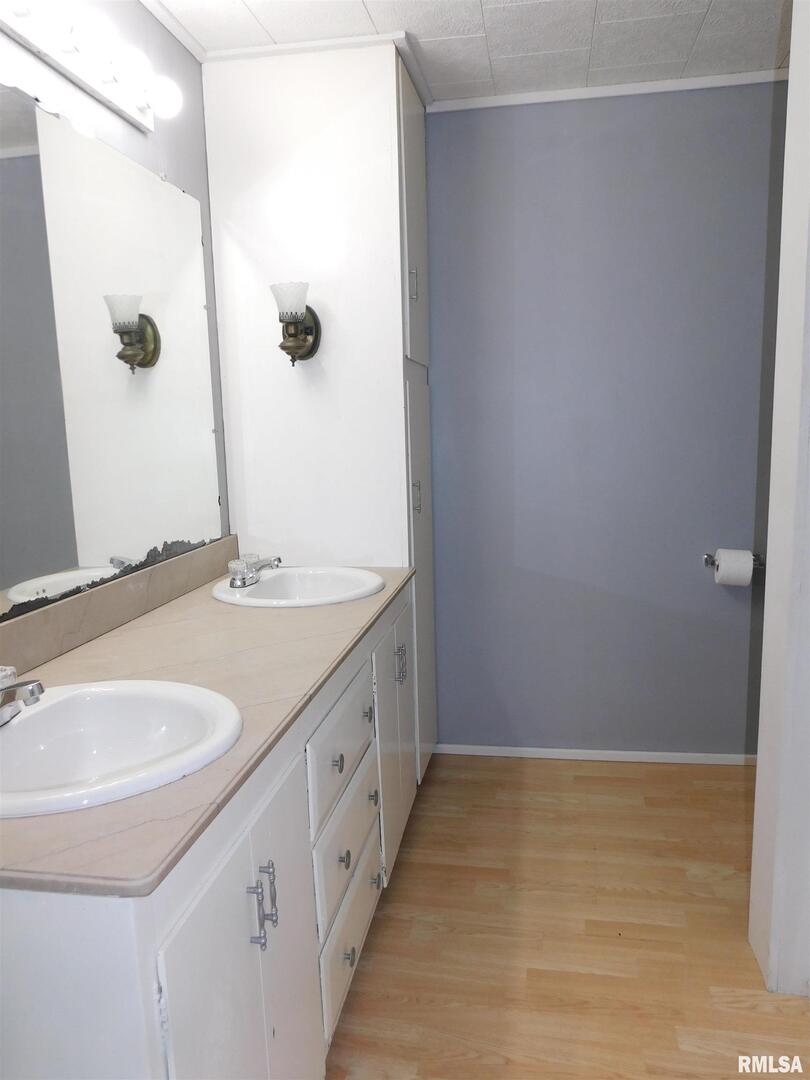 2517 Highway 17 Viola, IL 61486 - Photo 14 of 25 a bathroom with a double vanity sink and a mirror