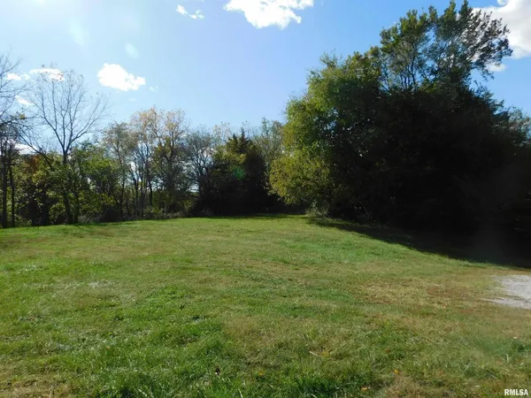 a view of a yard
