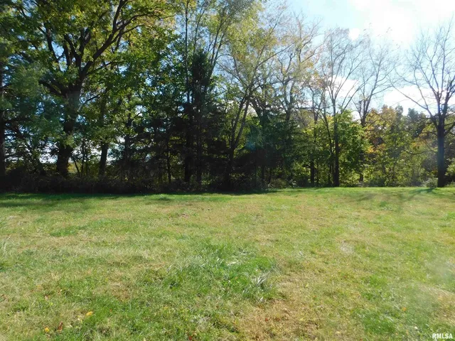 a view of outdoor space with yard