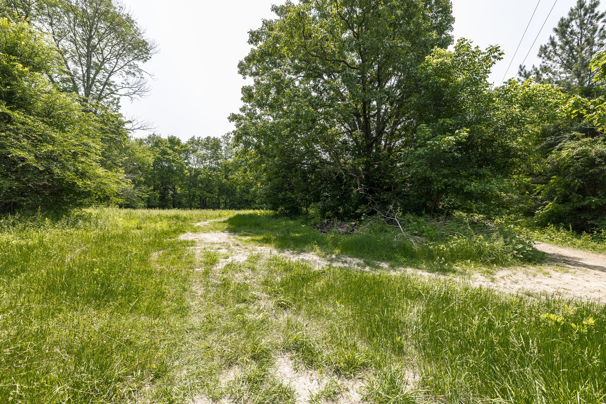 5945 Dewey Carr Road Bethpage, TN 37022 - Photo 44 of 63 Gallery Image 44
