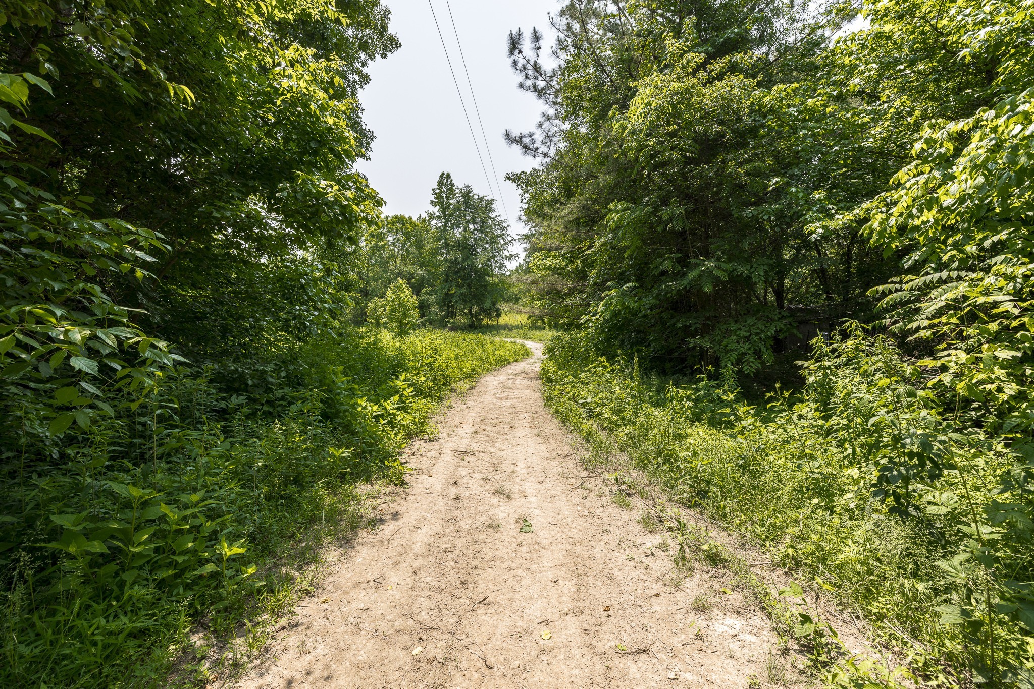 5945 Dewey Carr Road Bethpage, TN 37022 - Photo 45 of 63 Gallery Image 45
