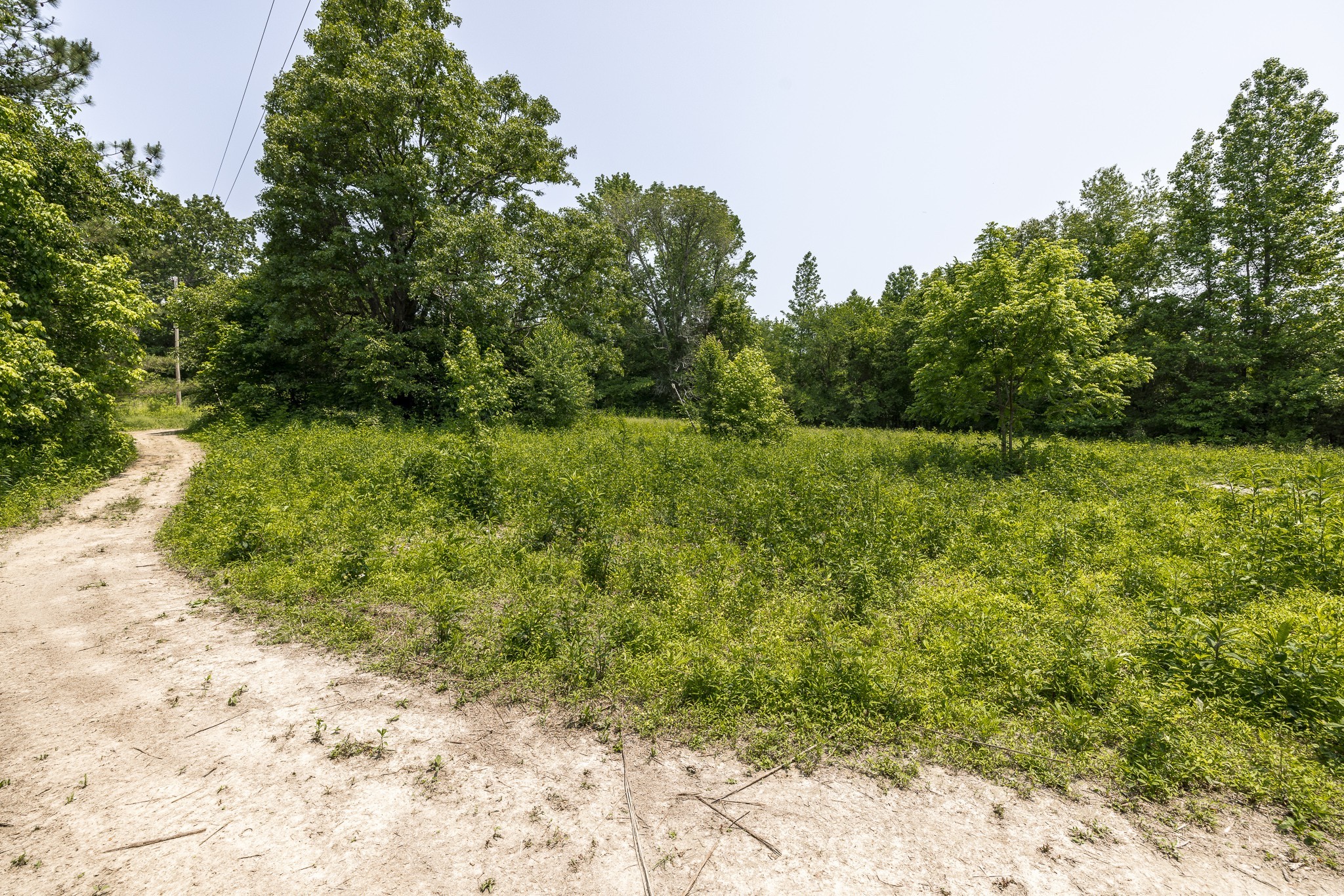 5945 Dewey Carr Road Bethpage, TN 37022 - Photo 46 of 63 Gallery Image 46